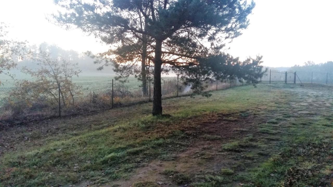 Willa Kraniec Swiata - Tylko Dla Ciebie - Zachwyca Krajobrazem, Regeneruje Cisza I Komfortem Boleslawiec  Eksteriør bilde